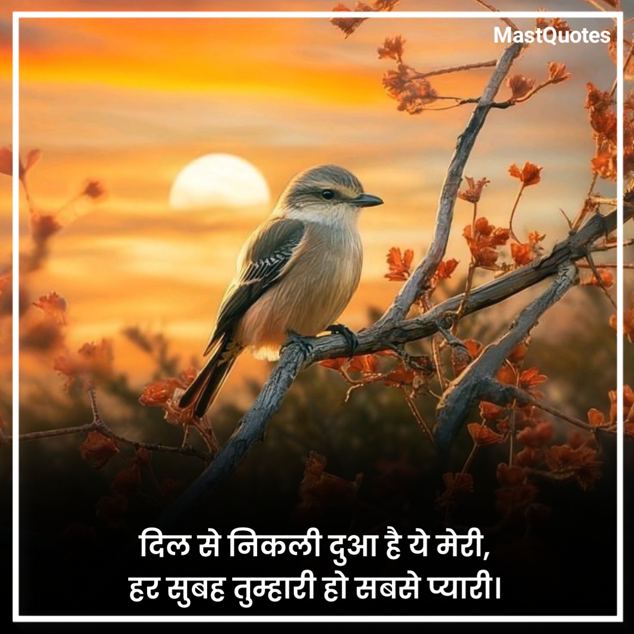 पॉजिटिव गुड मॉर्निंग कोट्स