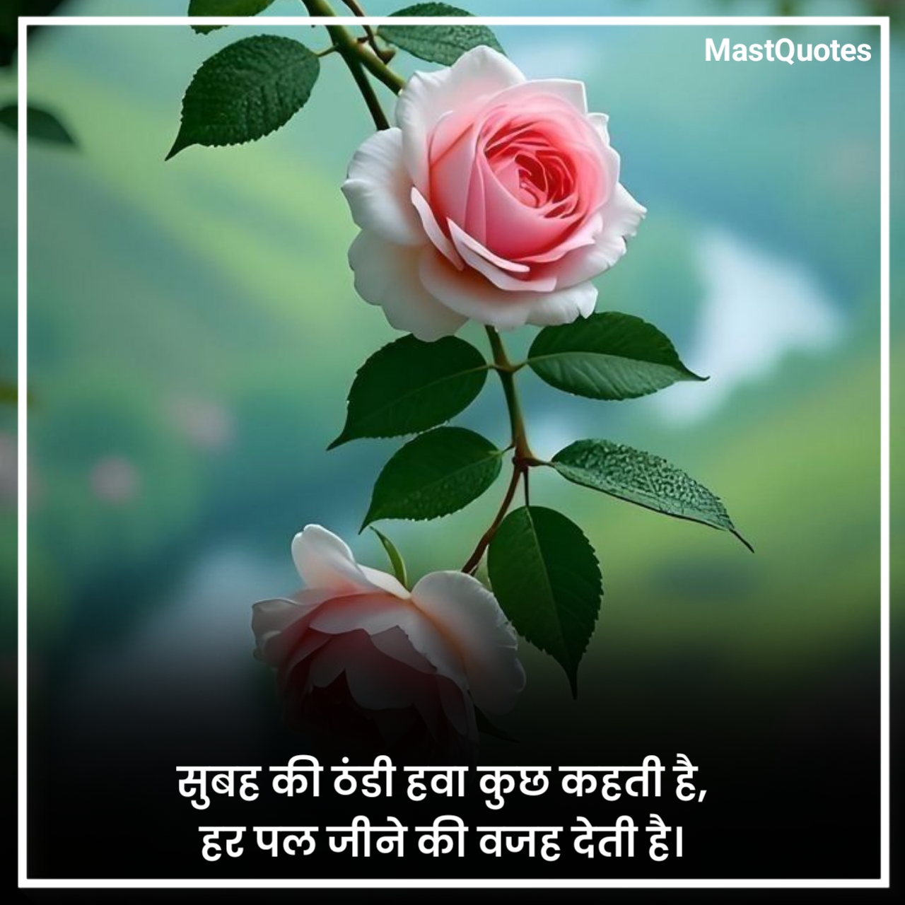 लेटेस्ट गुड मॉर्निंग कोट्स