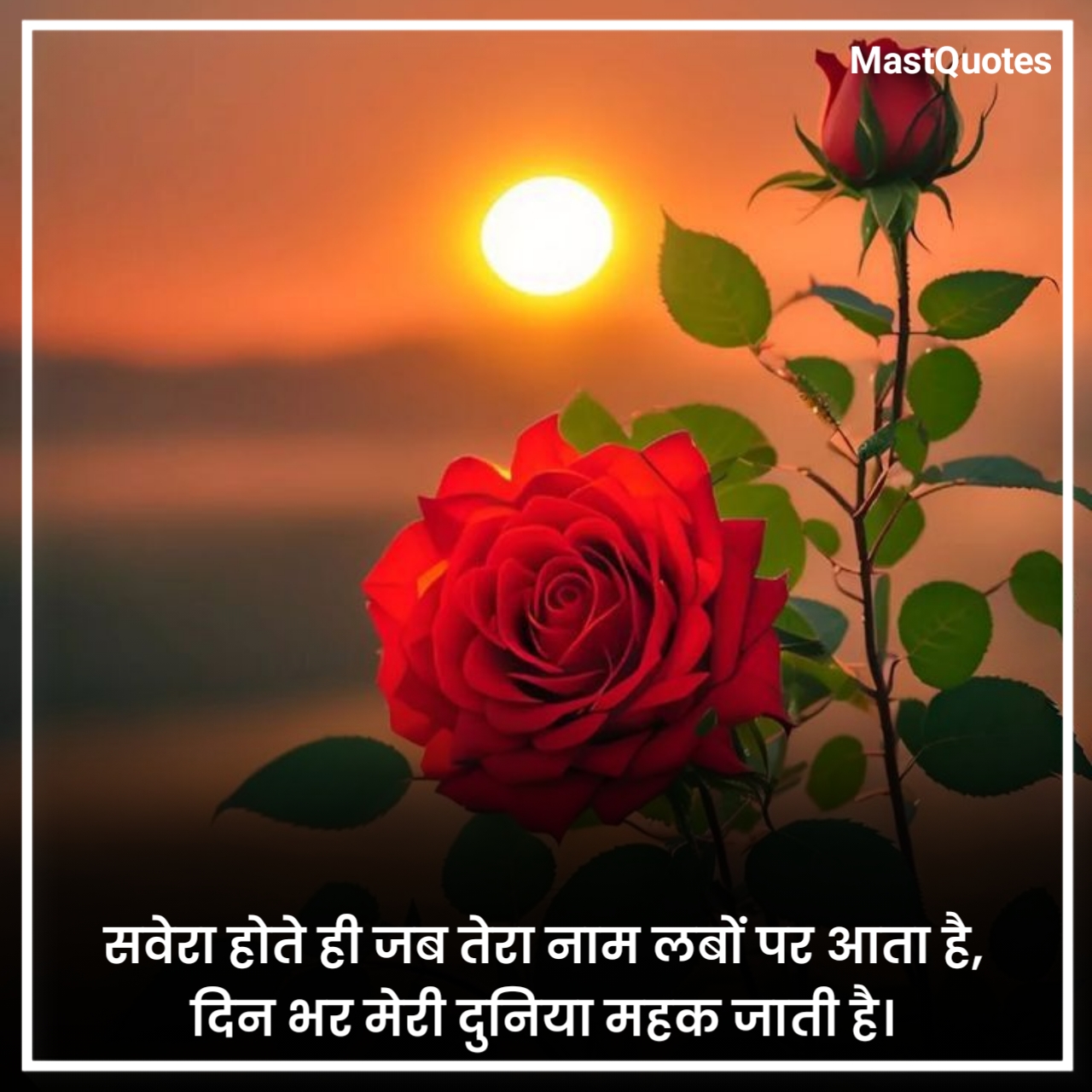 लेटेस्ट गुड मॉर्निंग कोट्स